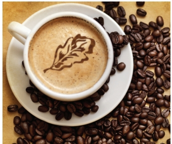 Professional Networking Breakfast