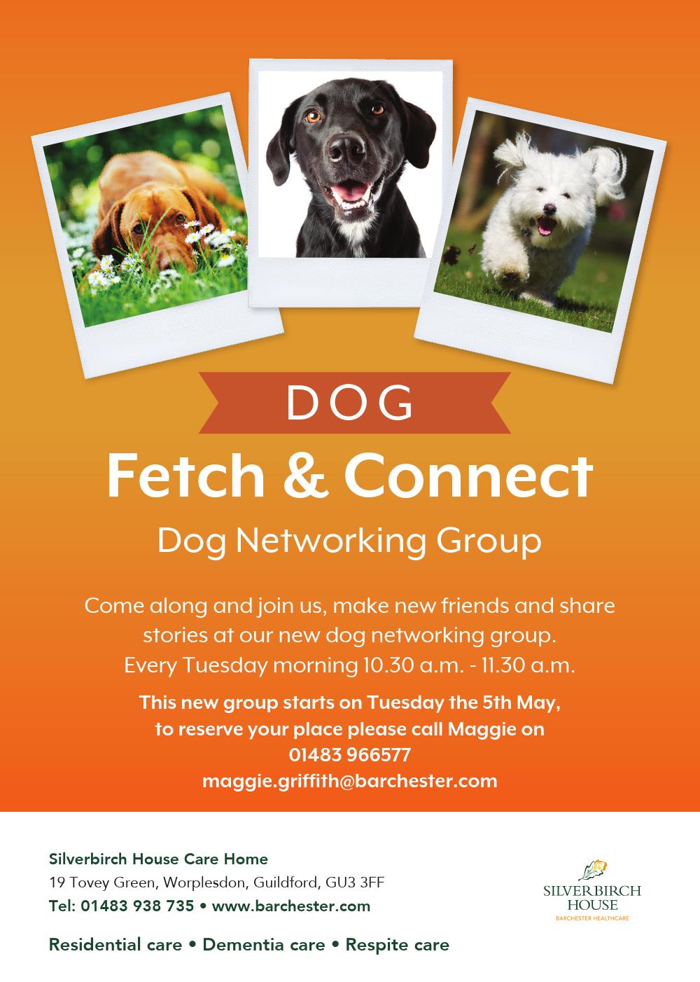 Fetch & Connect Dog Networking Group