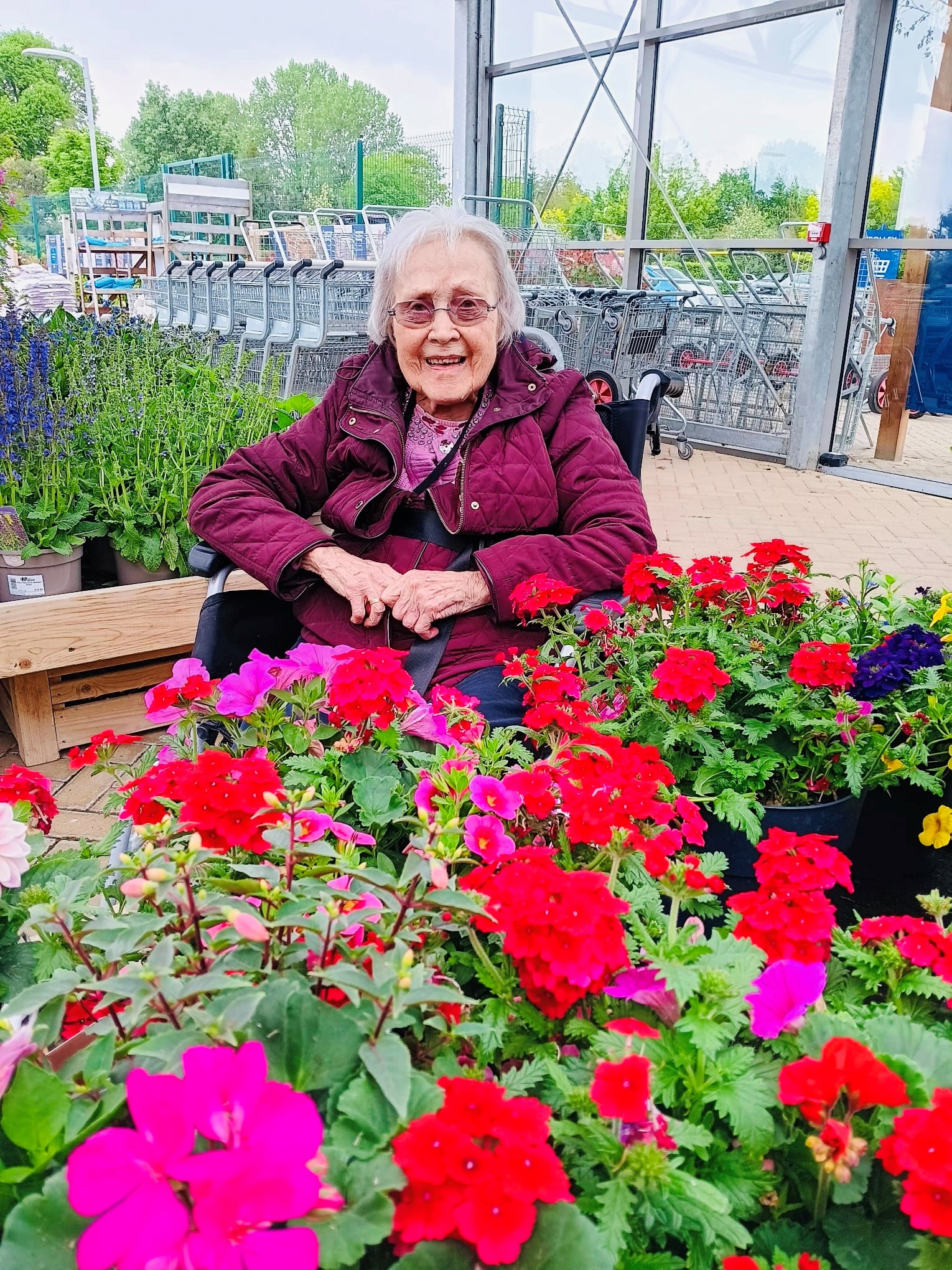 Exploring the plant displays