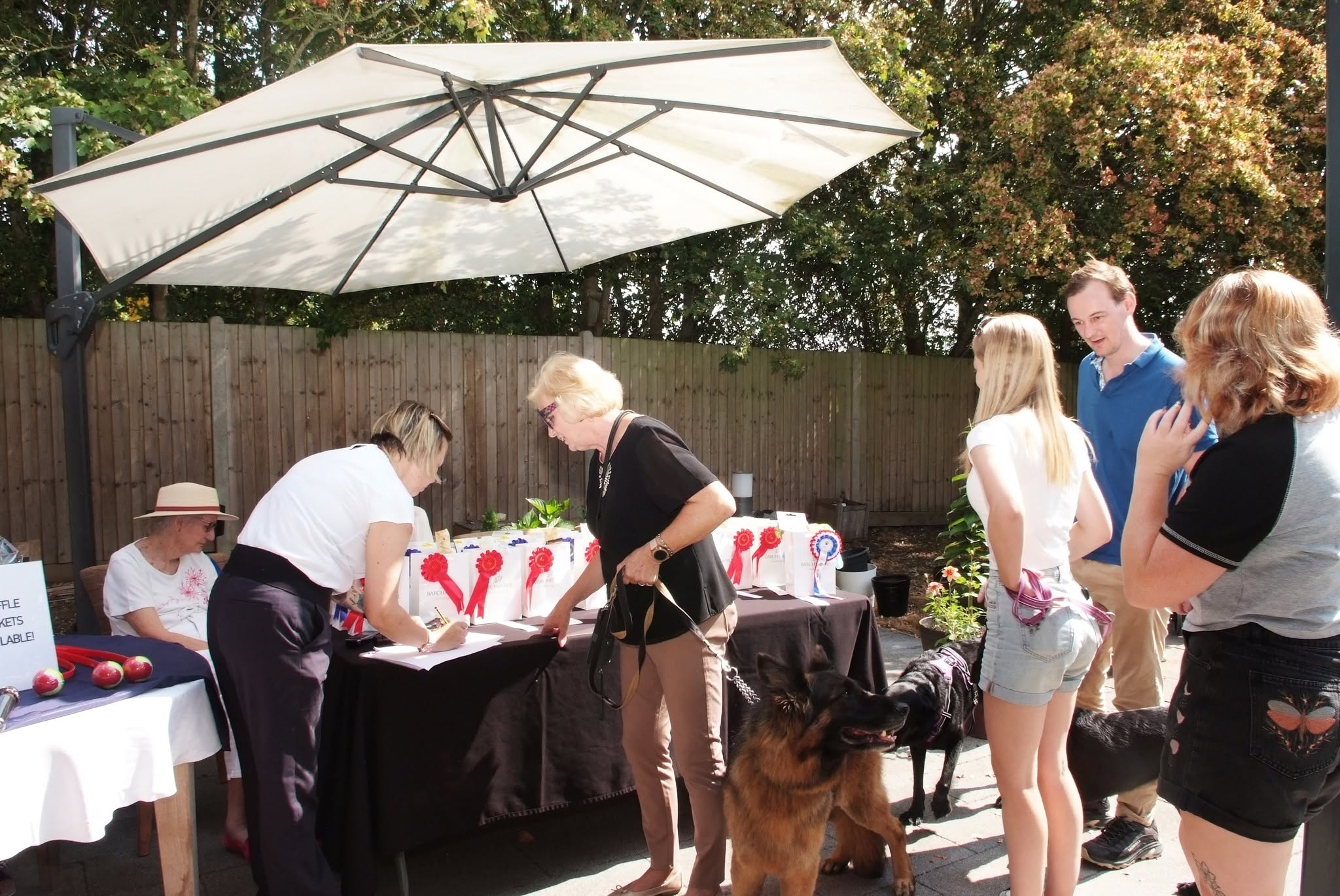 Paws & Community Dog Show