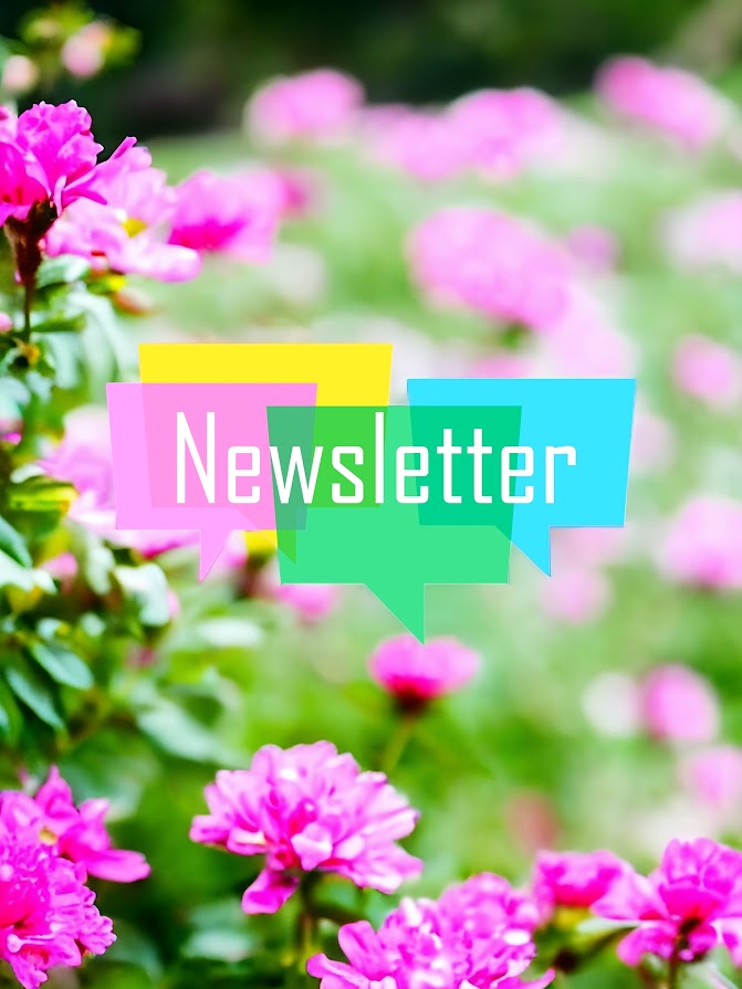 Newsletter