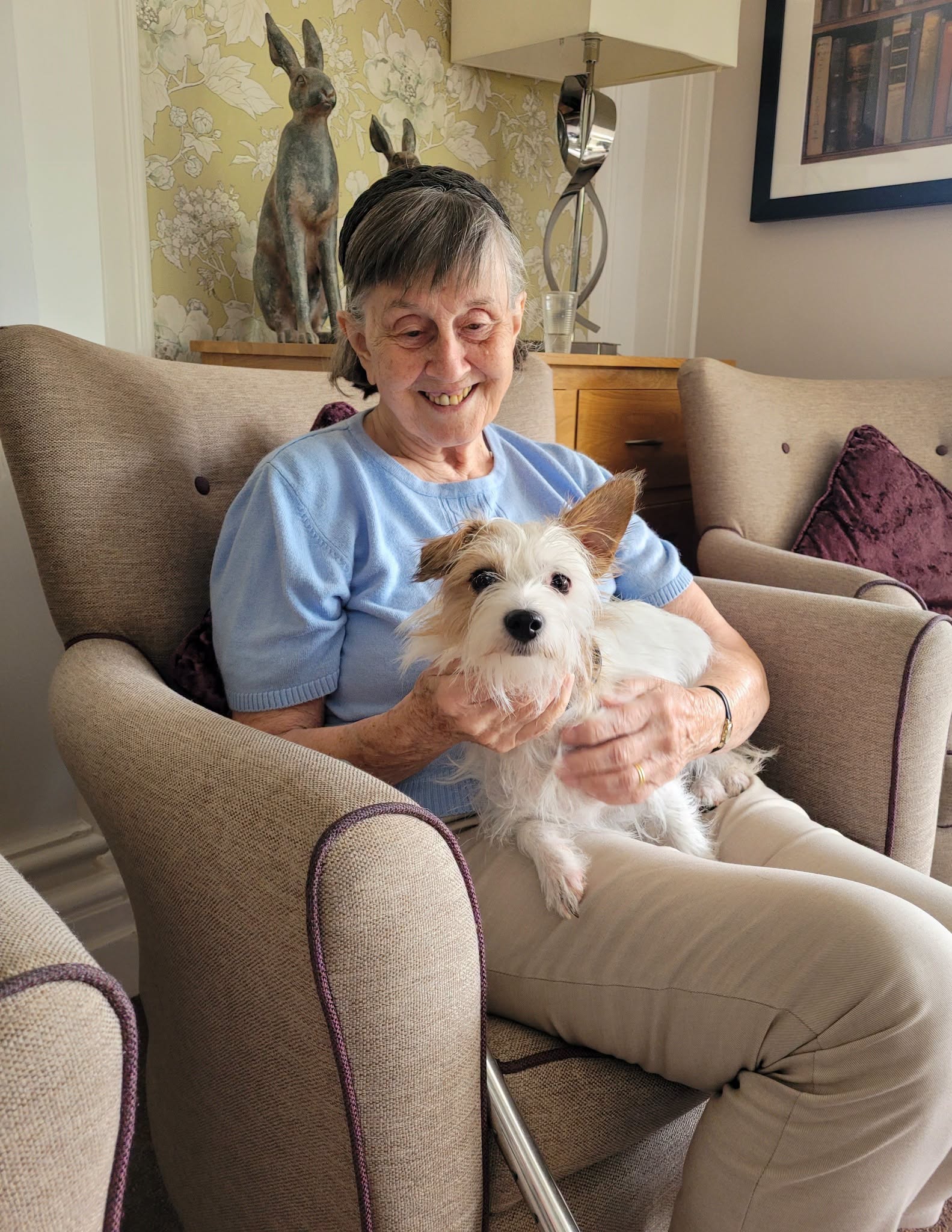 A Little Bit of Jack Russell Magic!