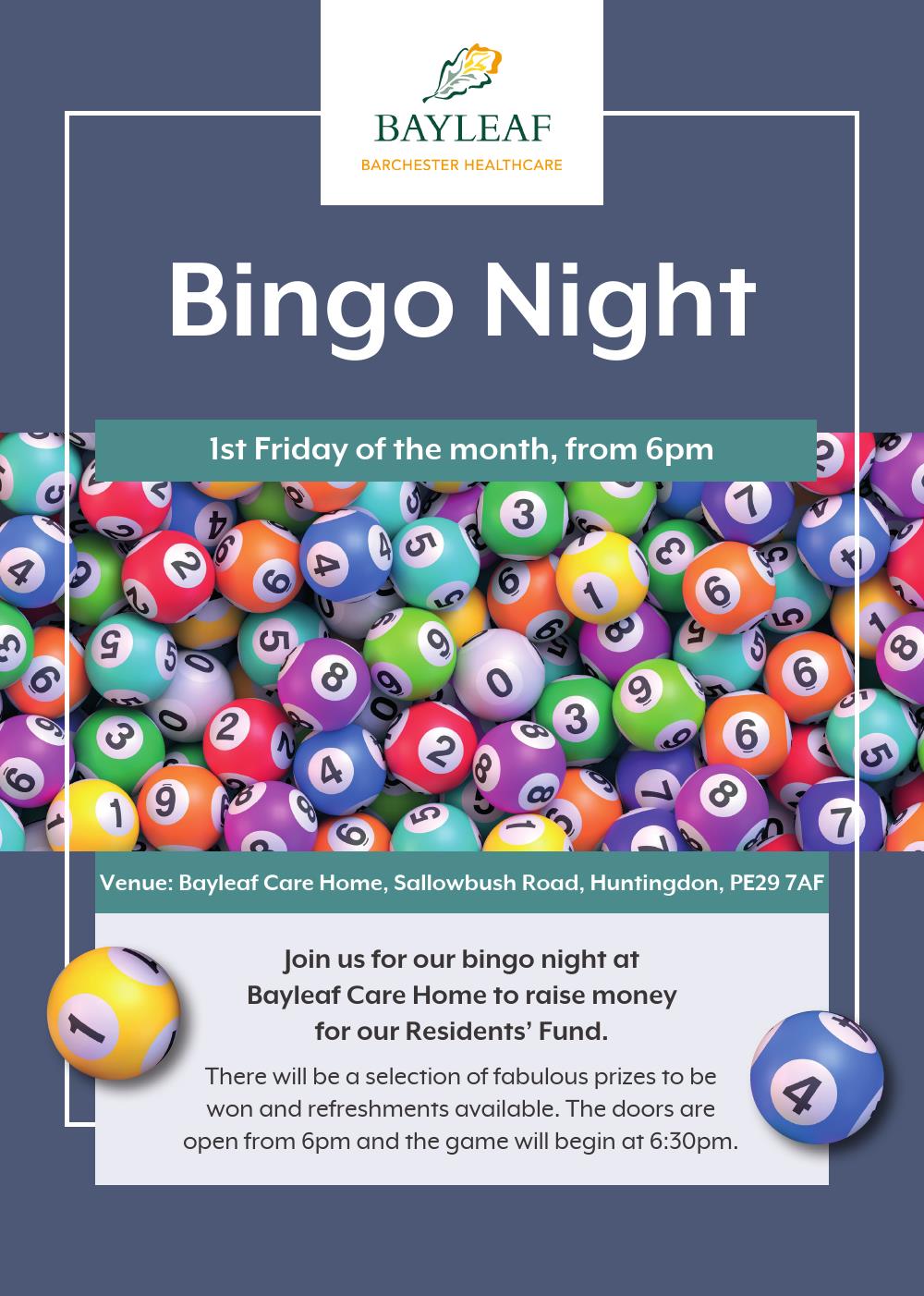 Bingo Night