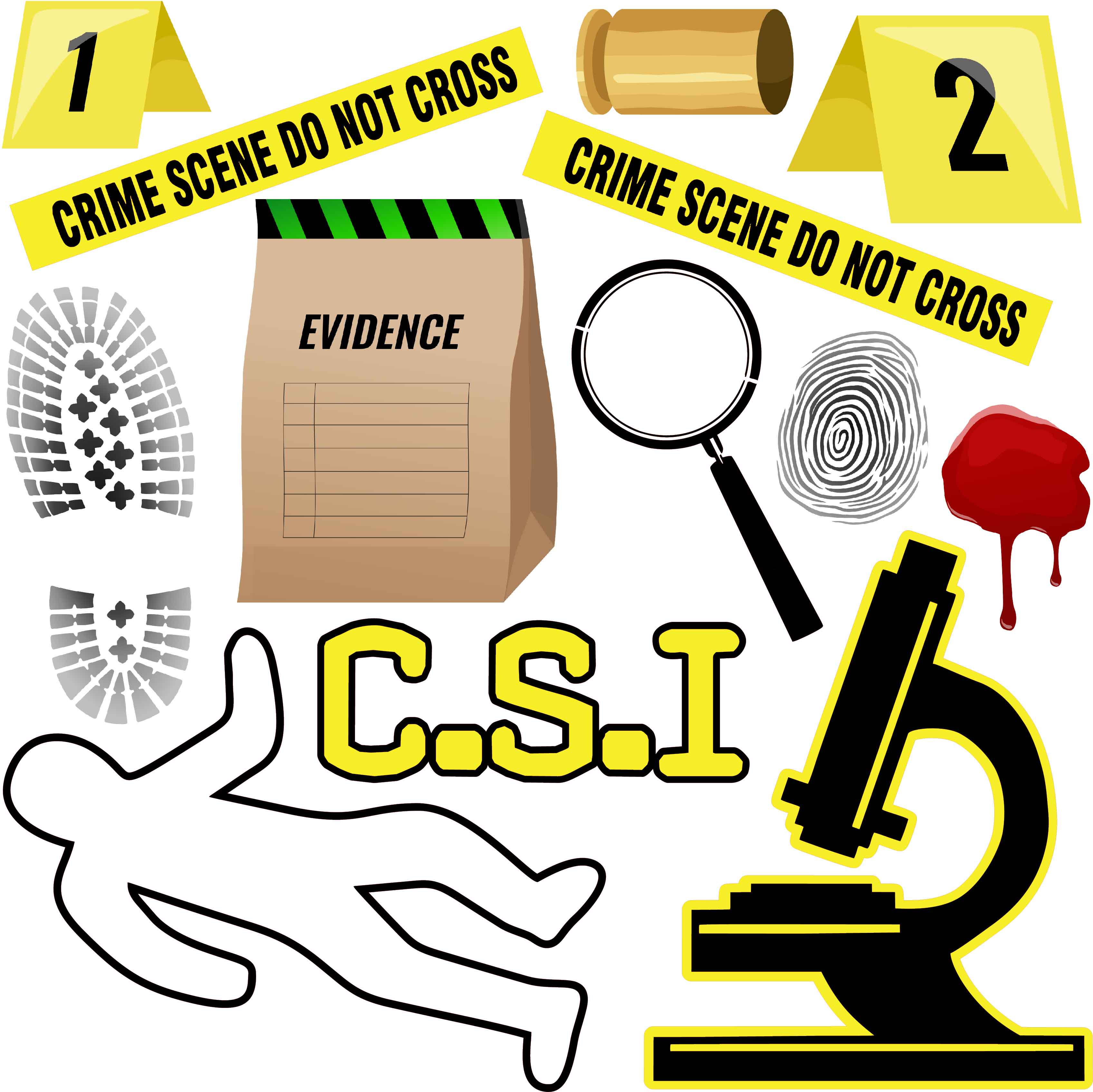 The Forensic (CSI) Experience