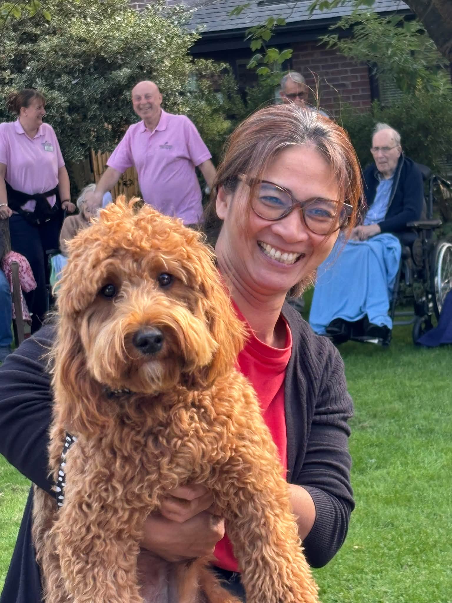 Dog Show 