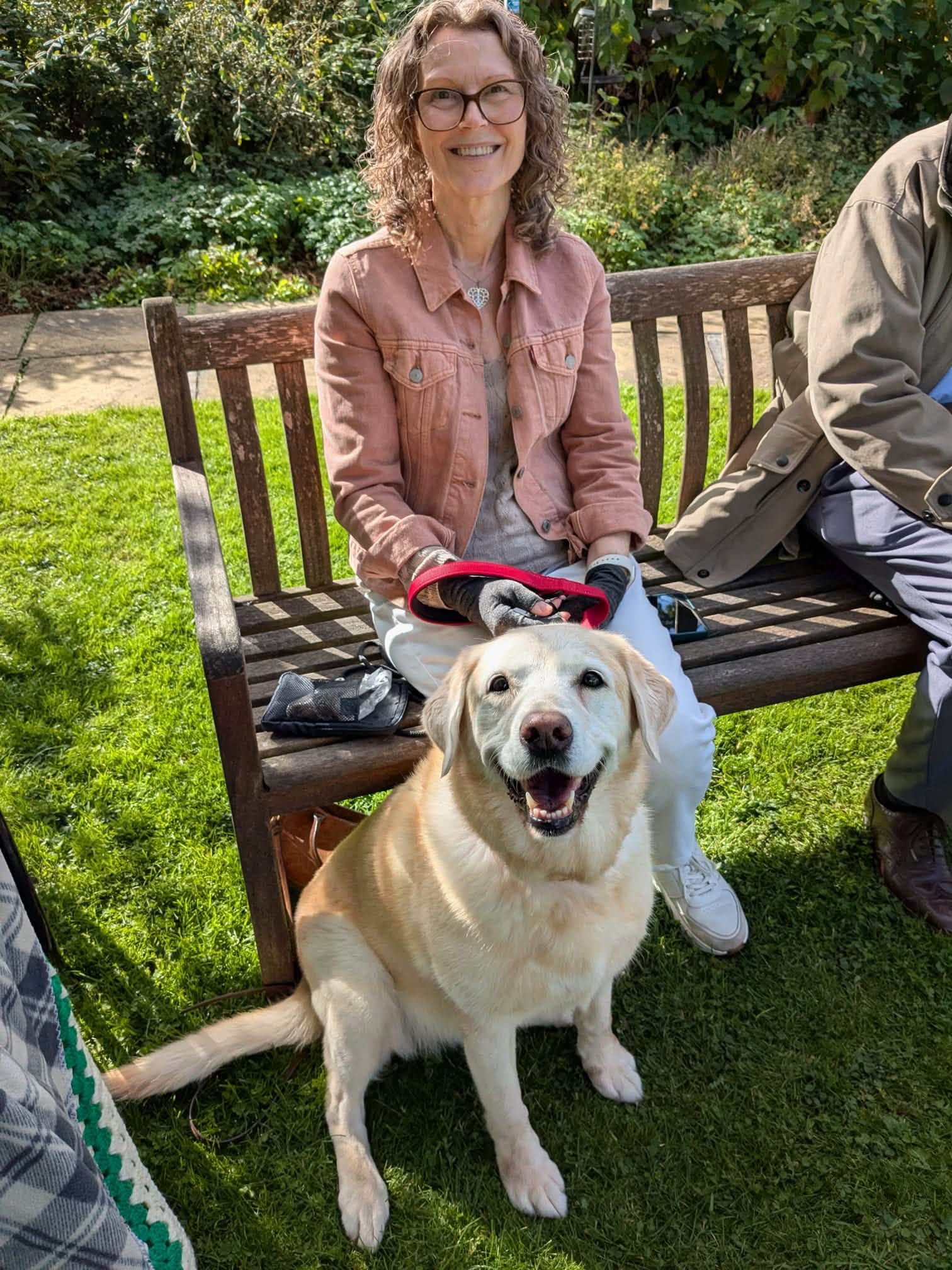 Dog Show 