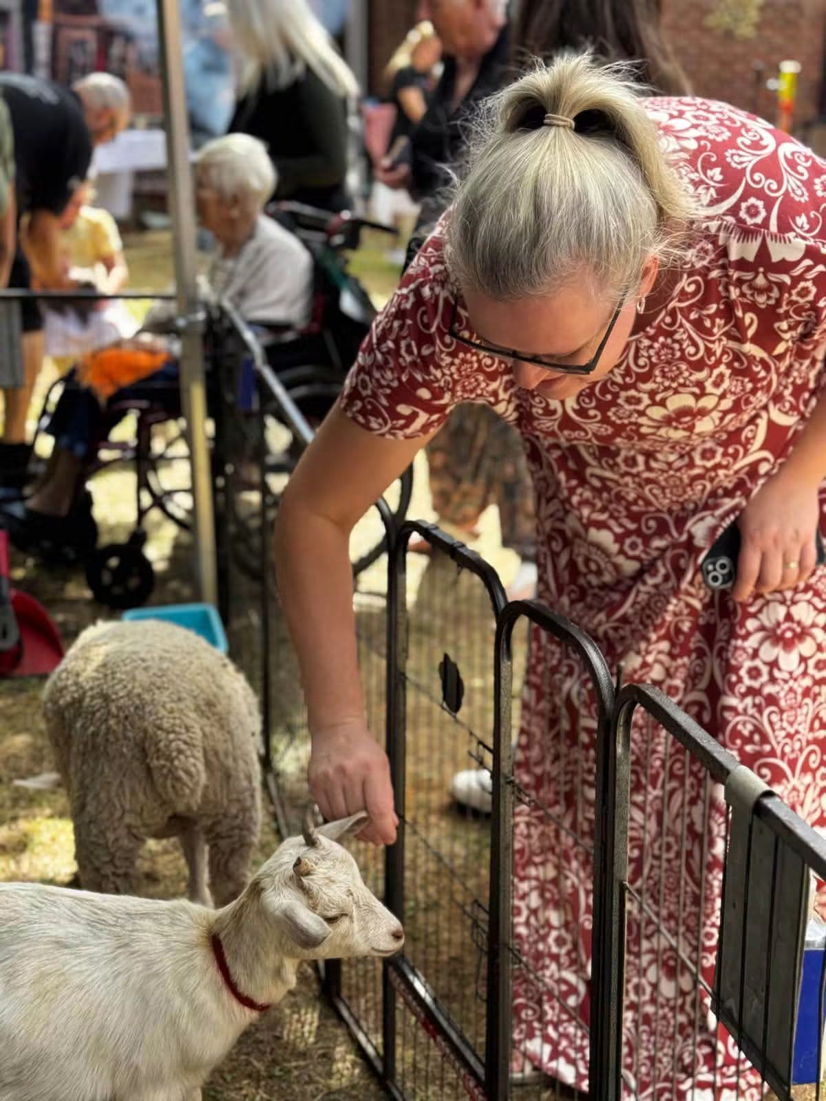 Farm fun day at Park View 