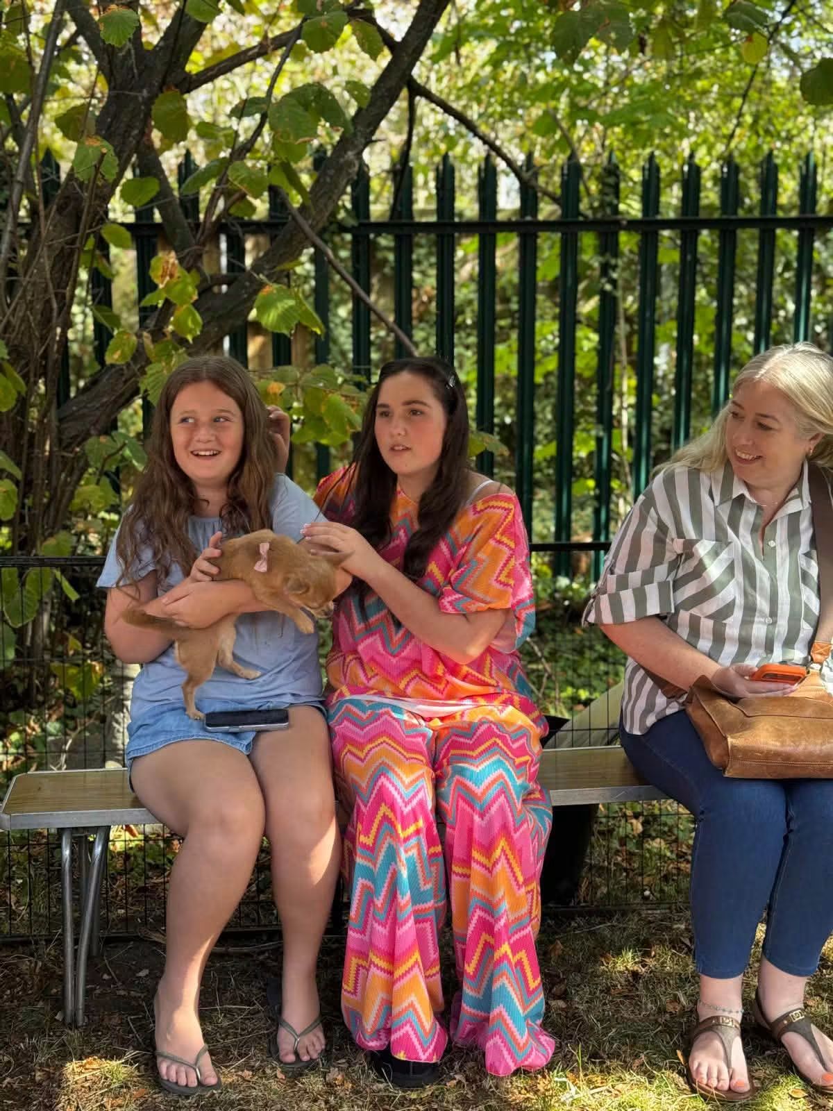 Farm fun day at Park View 