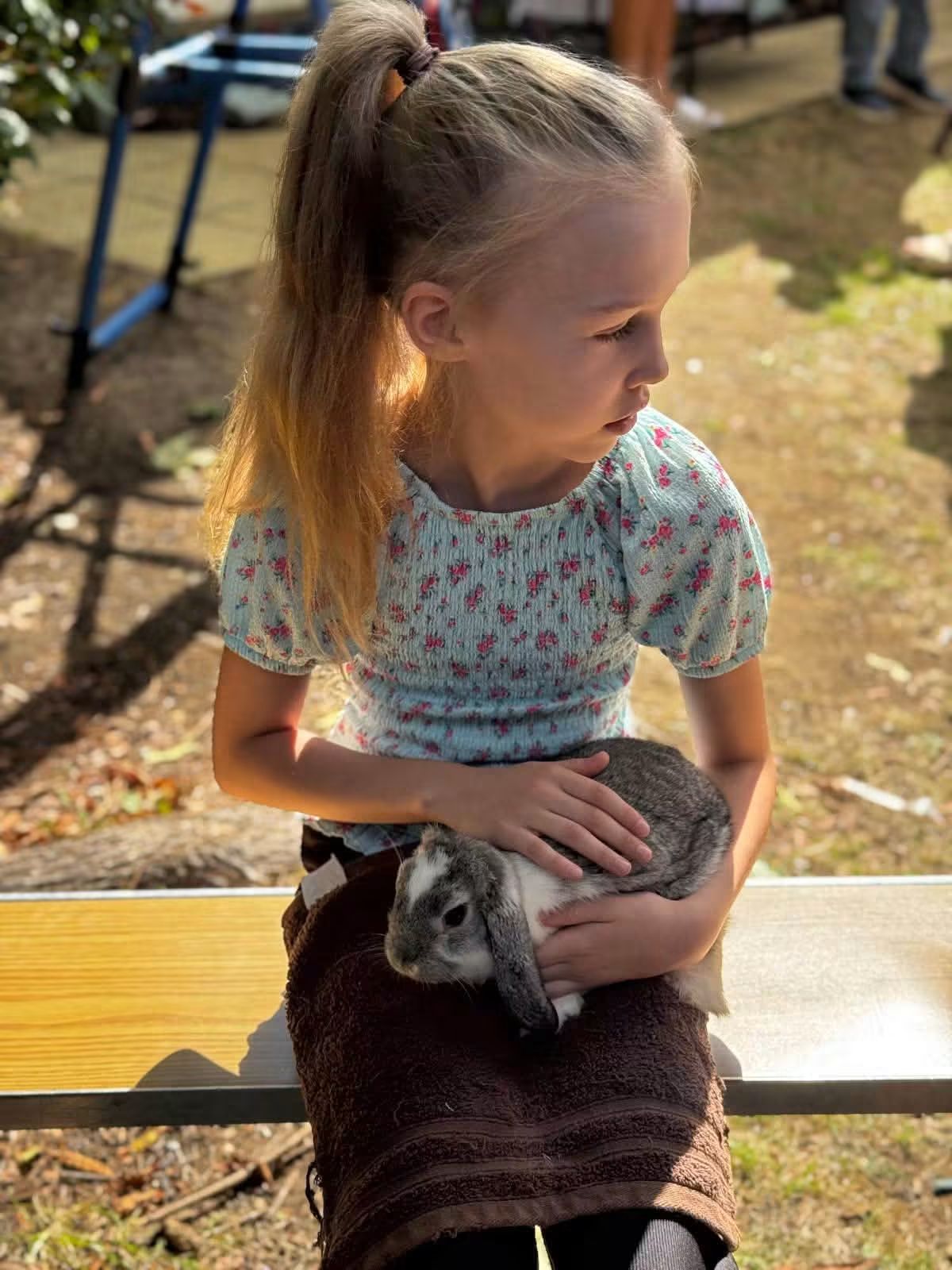 Farm fun day at Park View 