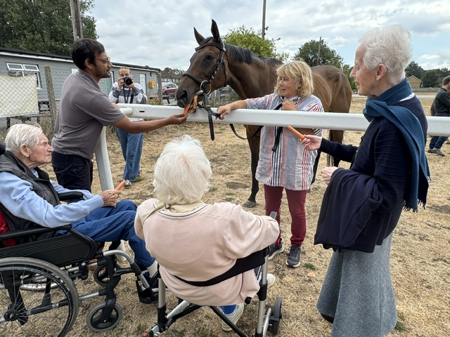 A Catch-Up with Retired Racehorses 