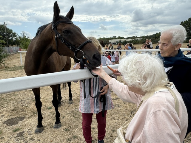 A Catch-Up with Retired Racehorses 