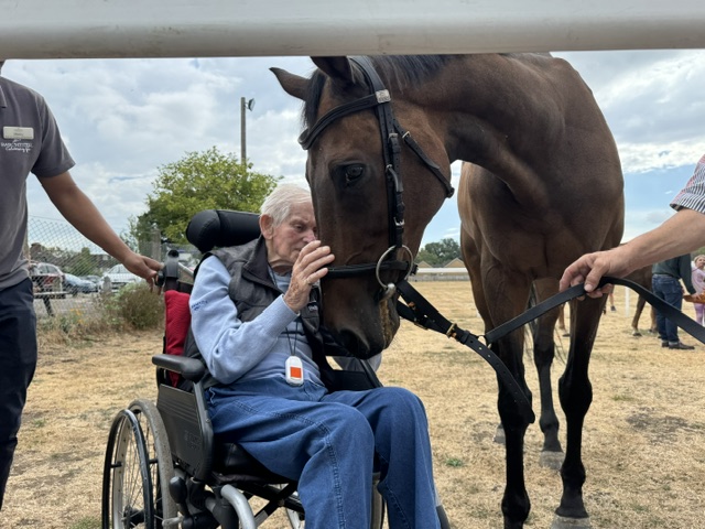 A Catch-Up with Retired Racehorses 
