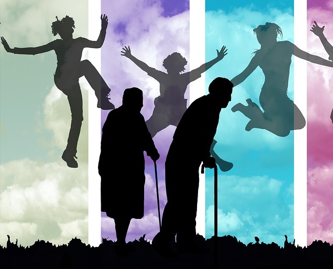 Falls Prevention Workshop