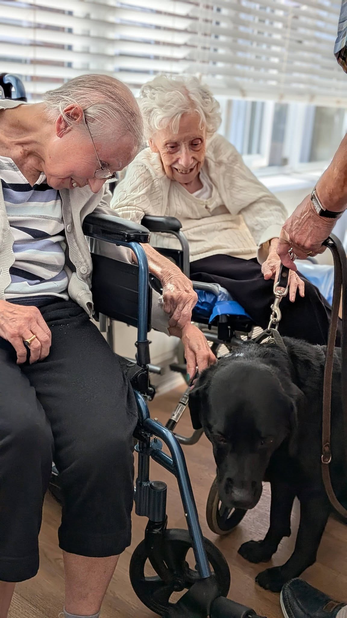 An Inspiring Guide Dogs for the Blind Talk 