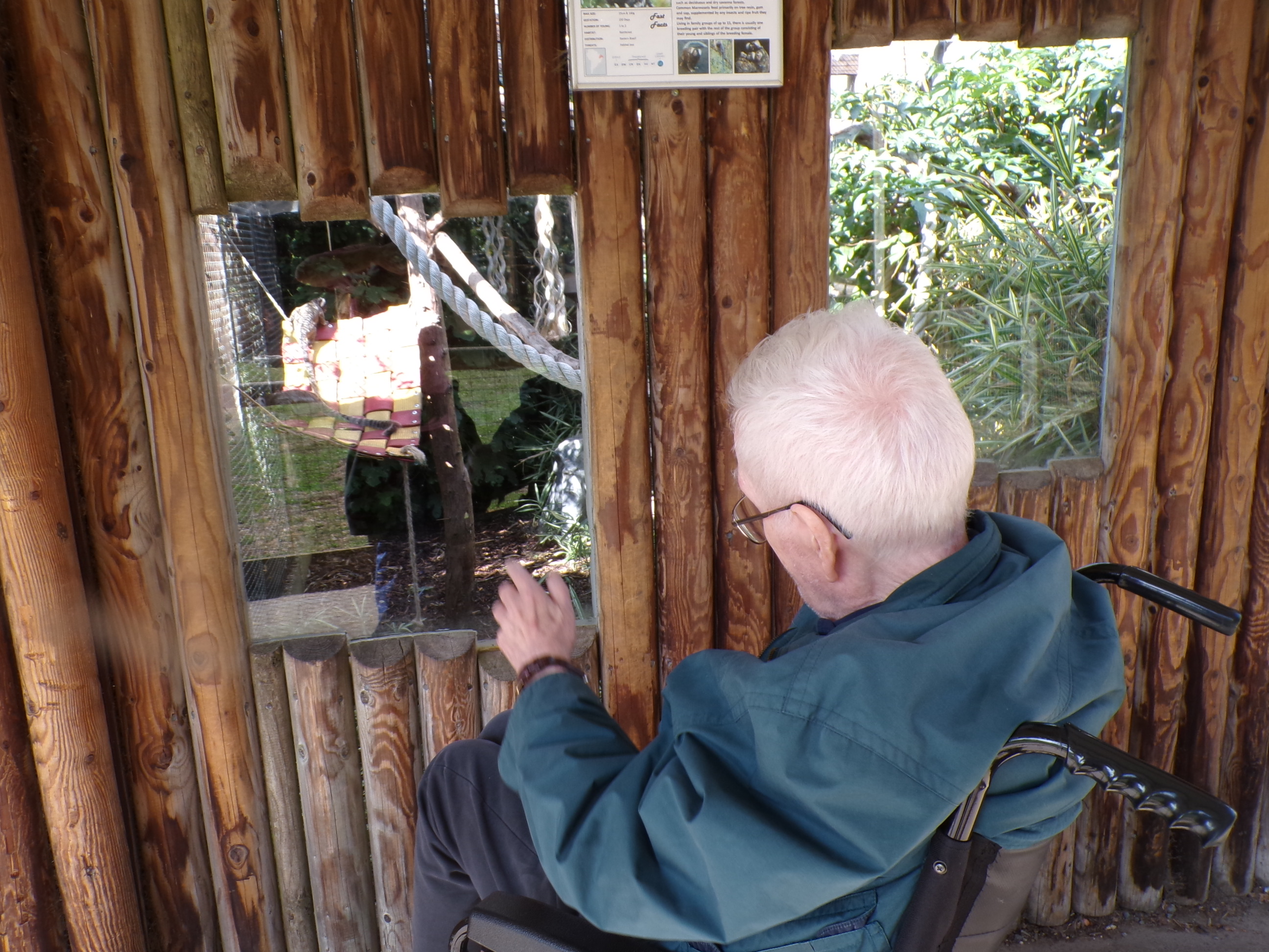 Hamerton Zoo Park