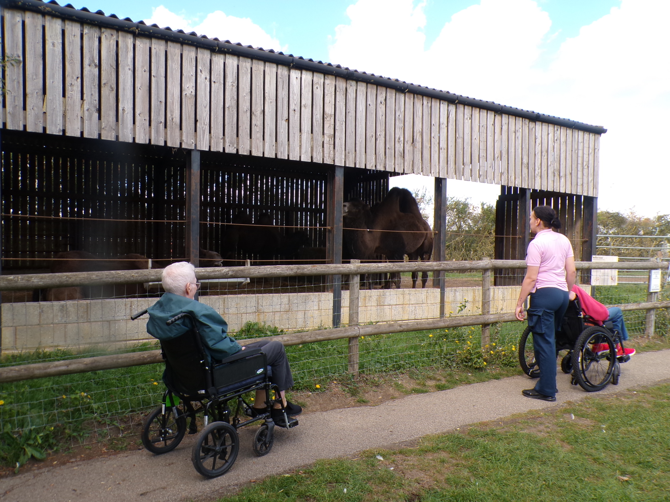 Hamerton Zoo Park