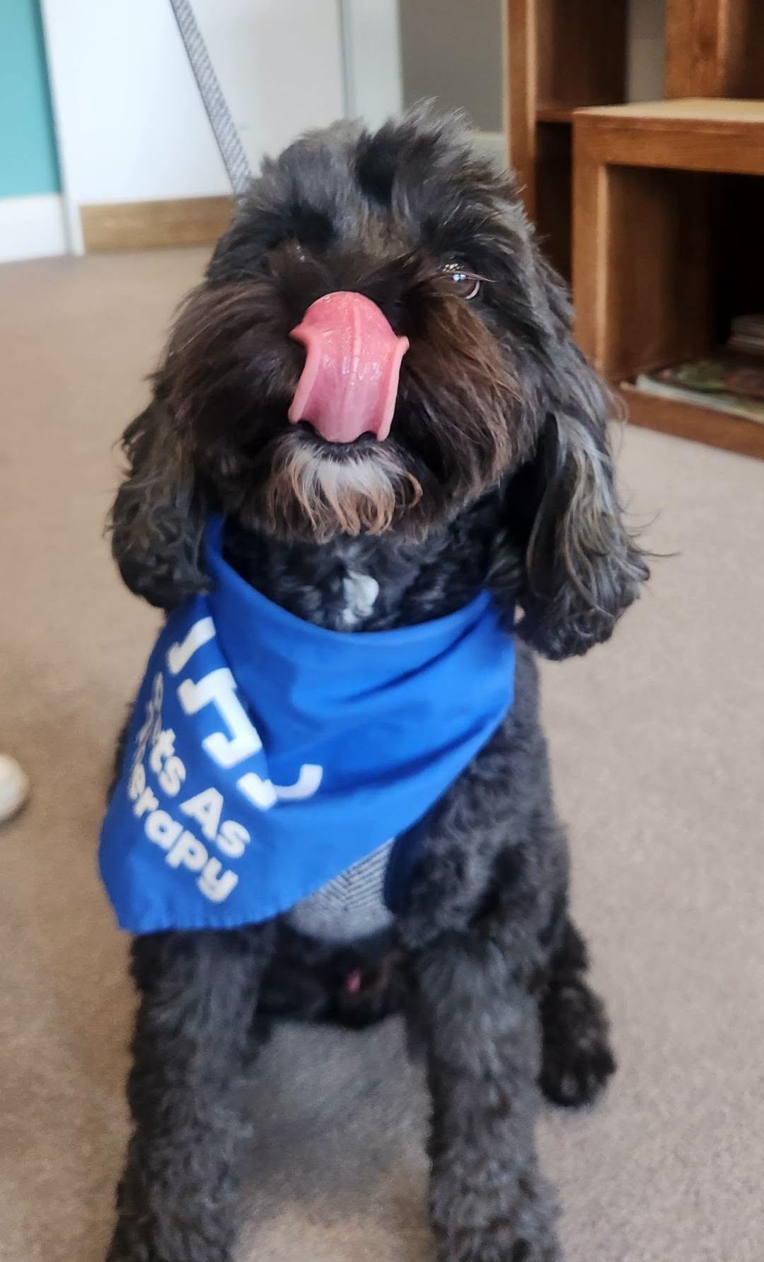 Always happy to visit 