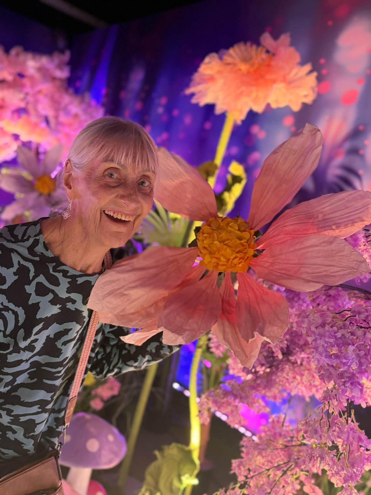 A Magical Day at House of Dreamers