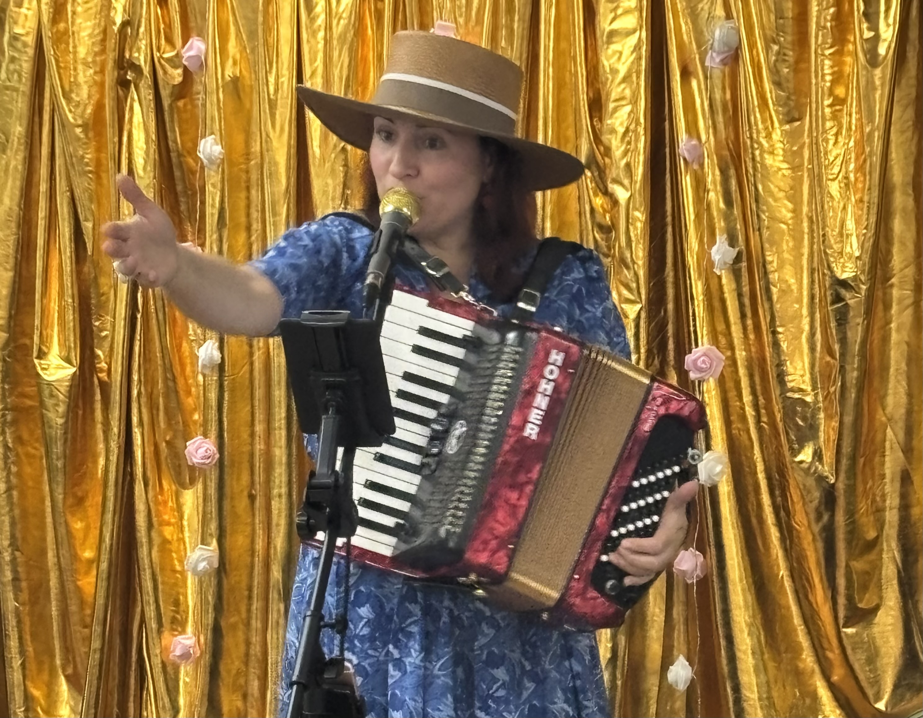 Accordion concert