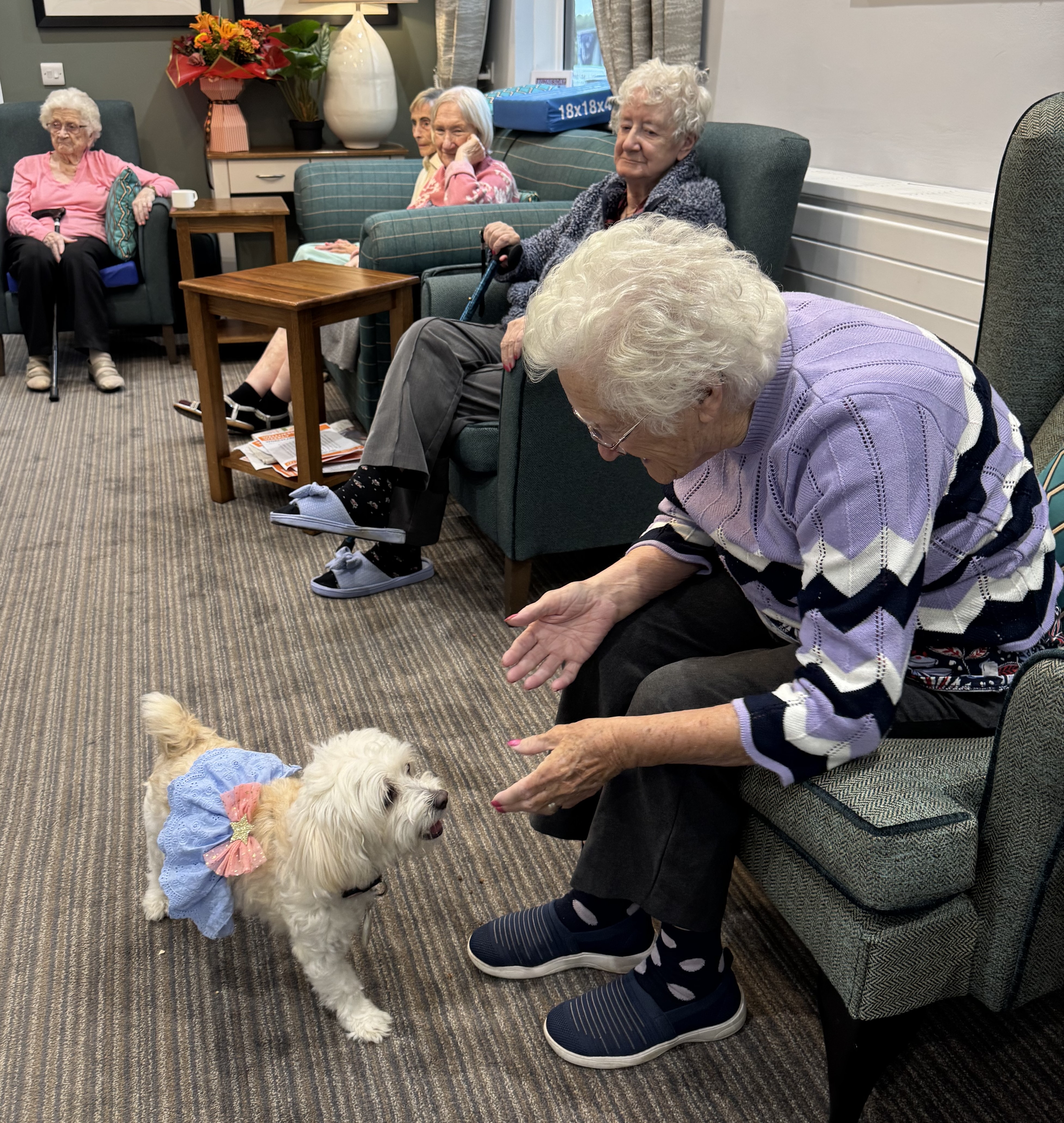 Dog Show Days at Appletree Grange