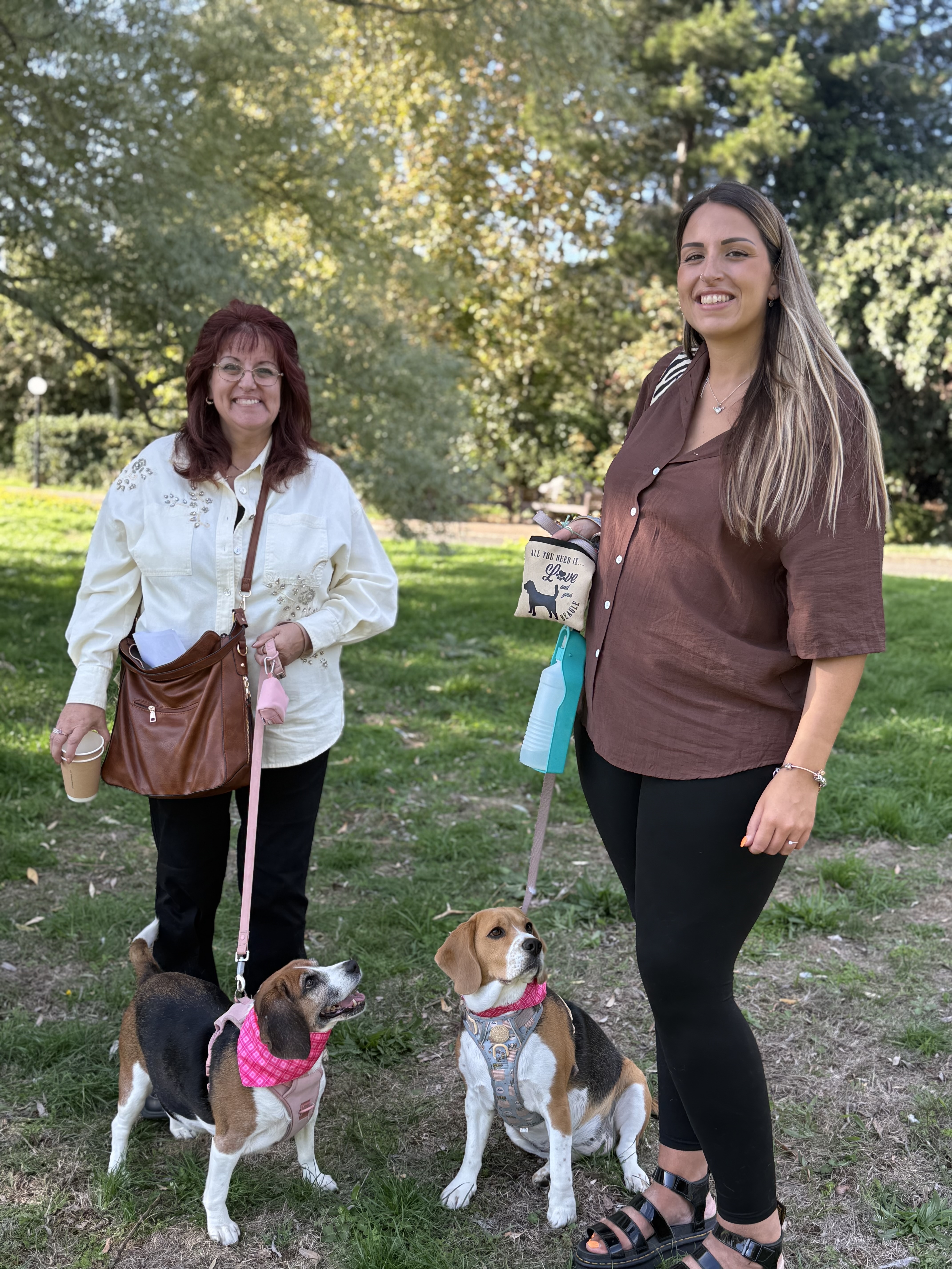A Pawsome Day at the Longueville Court Dog Show!