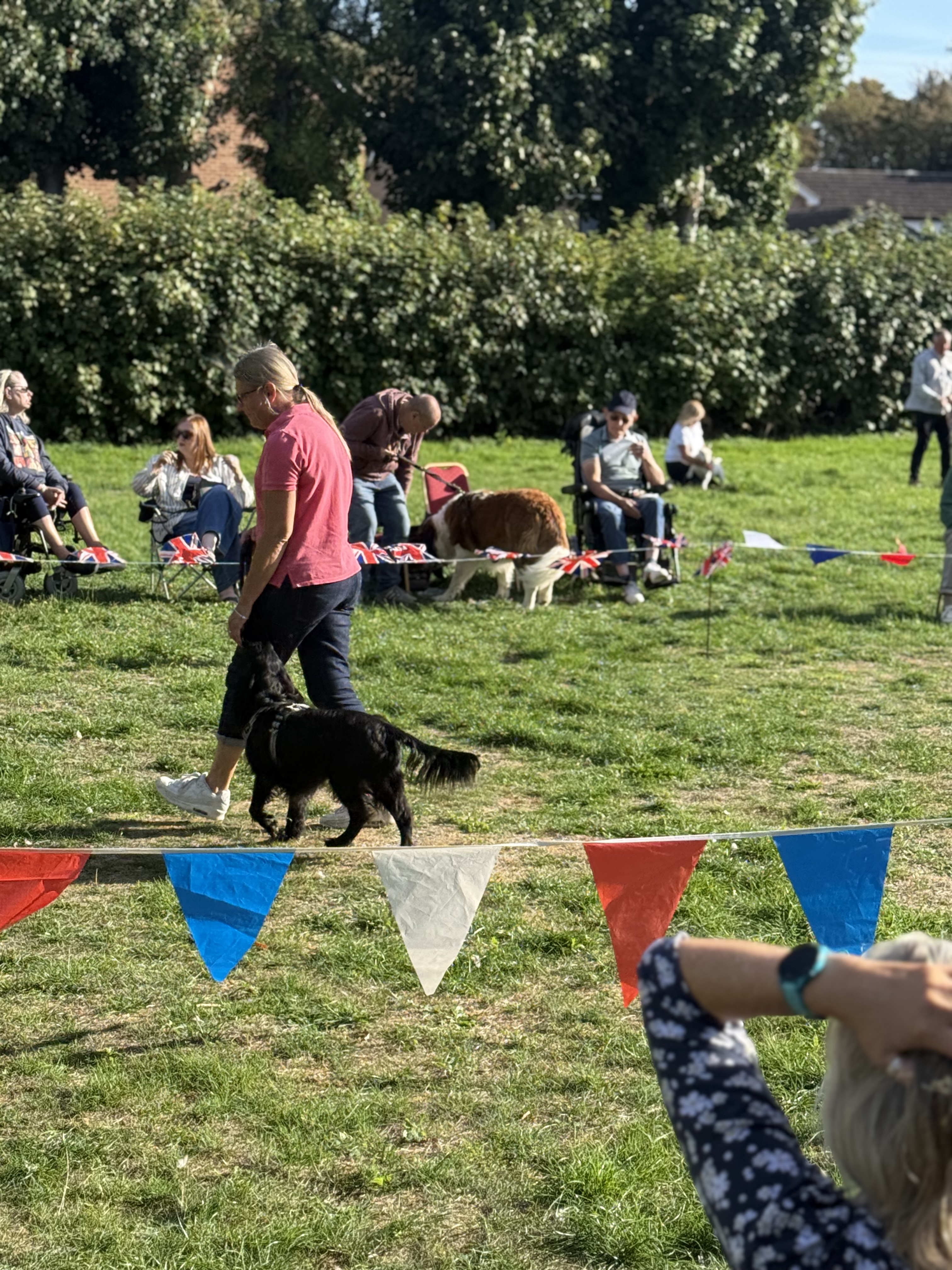 A Pawsome Day at the Longueville Court Dog Show!