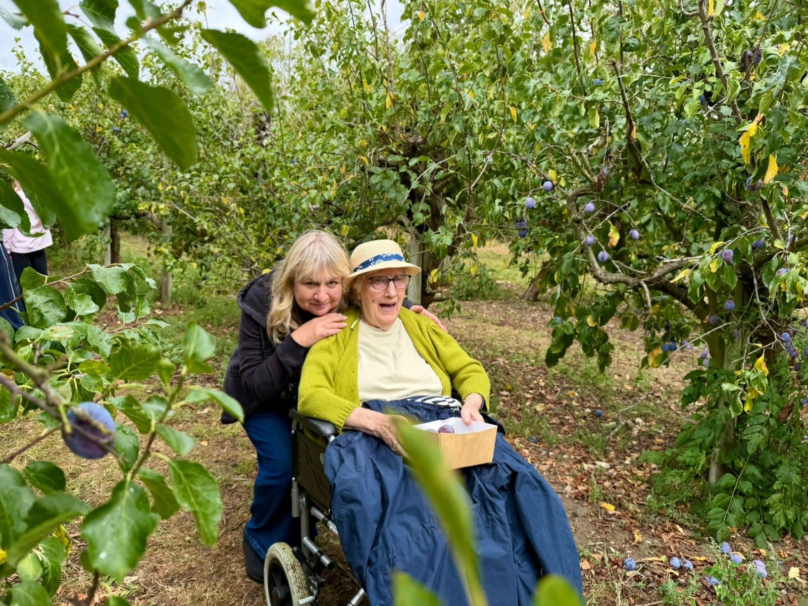 Fruit Picking Fun