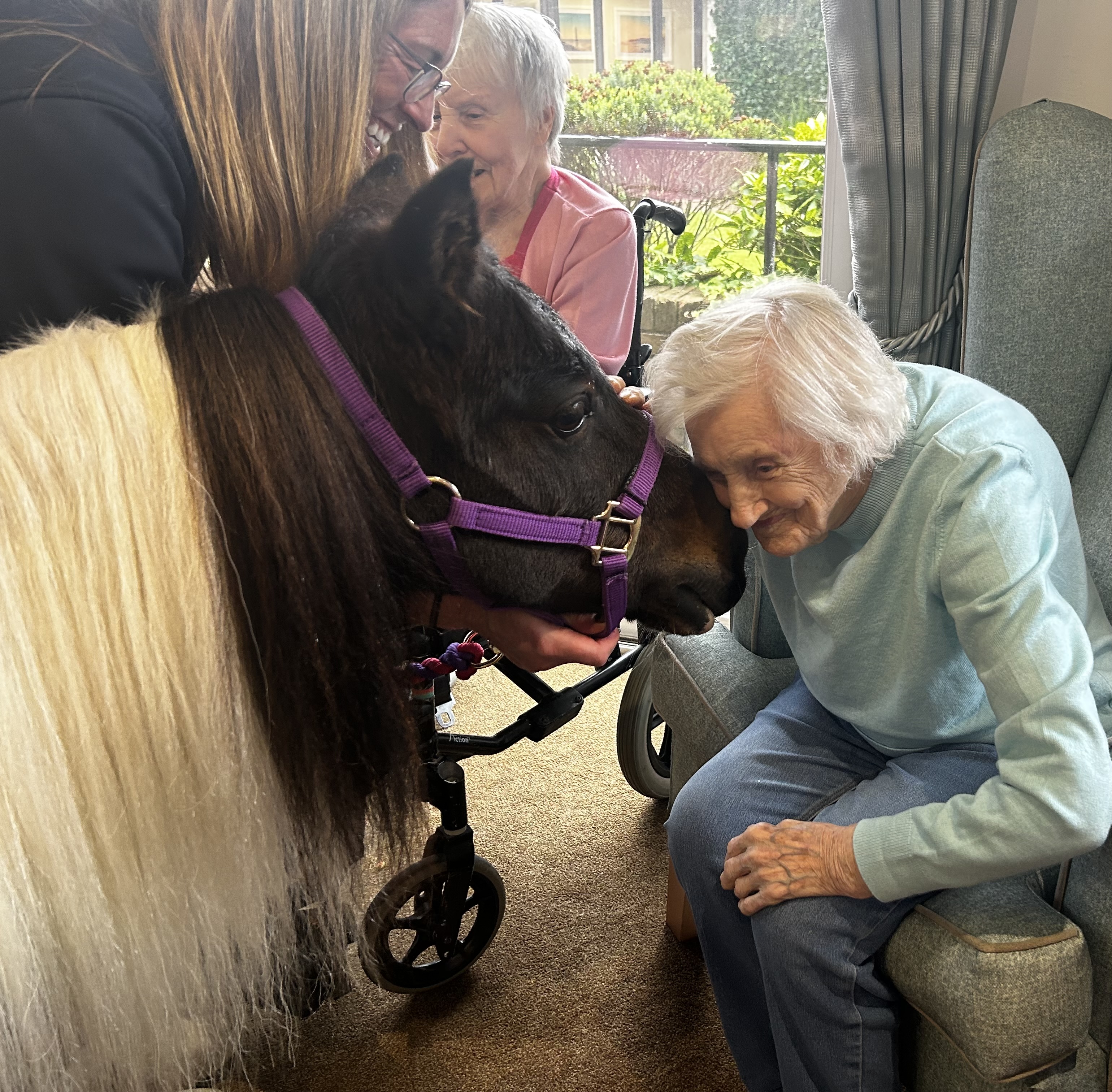 Special visitors