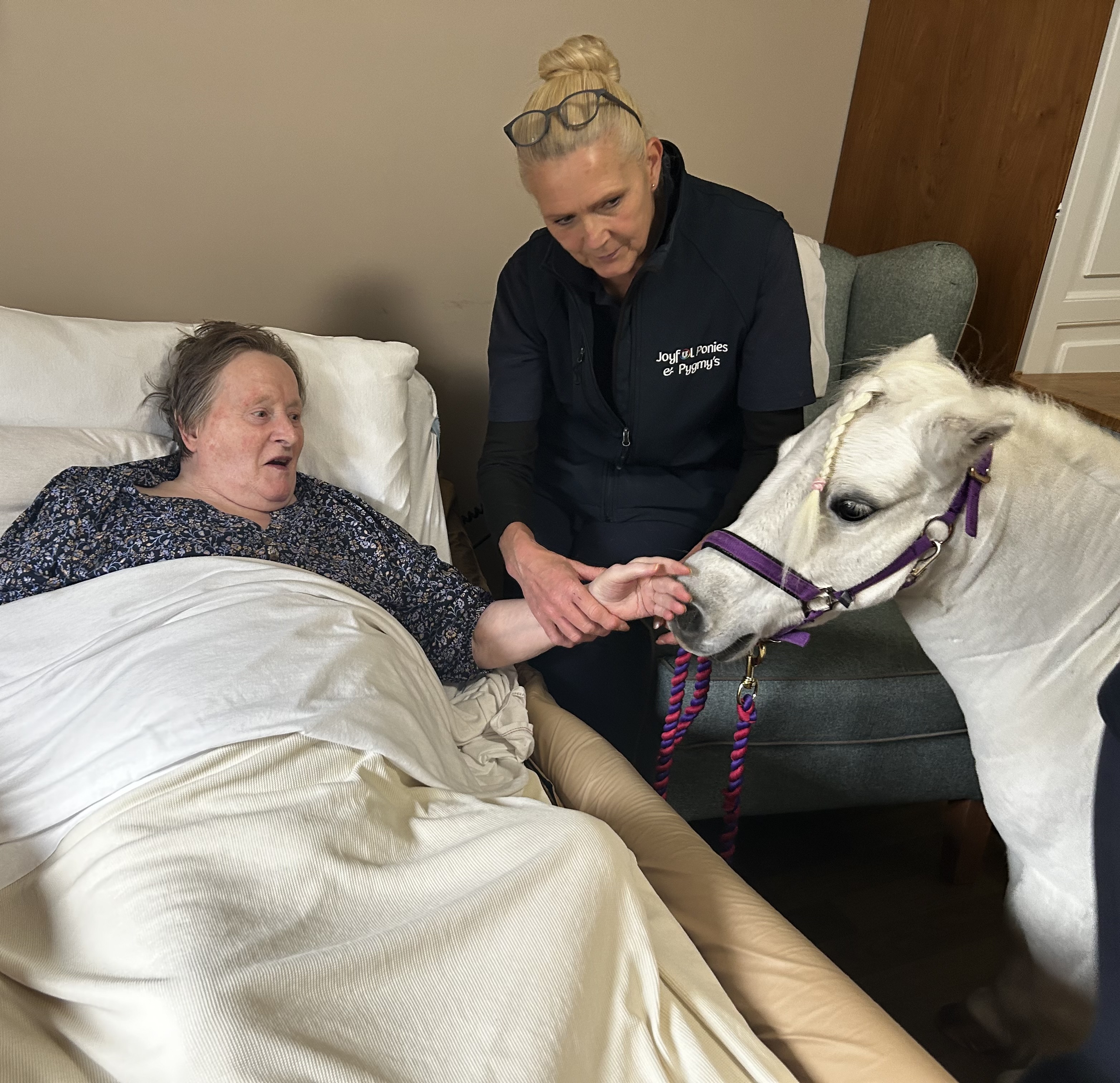 Special visitors