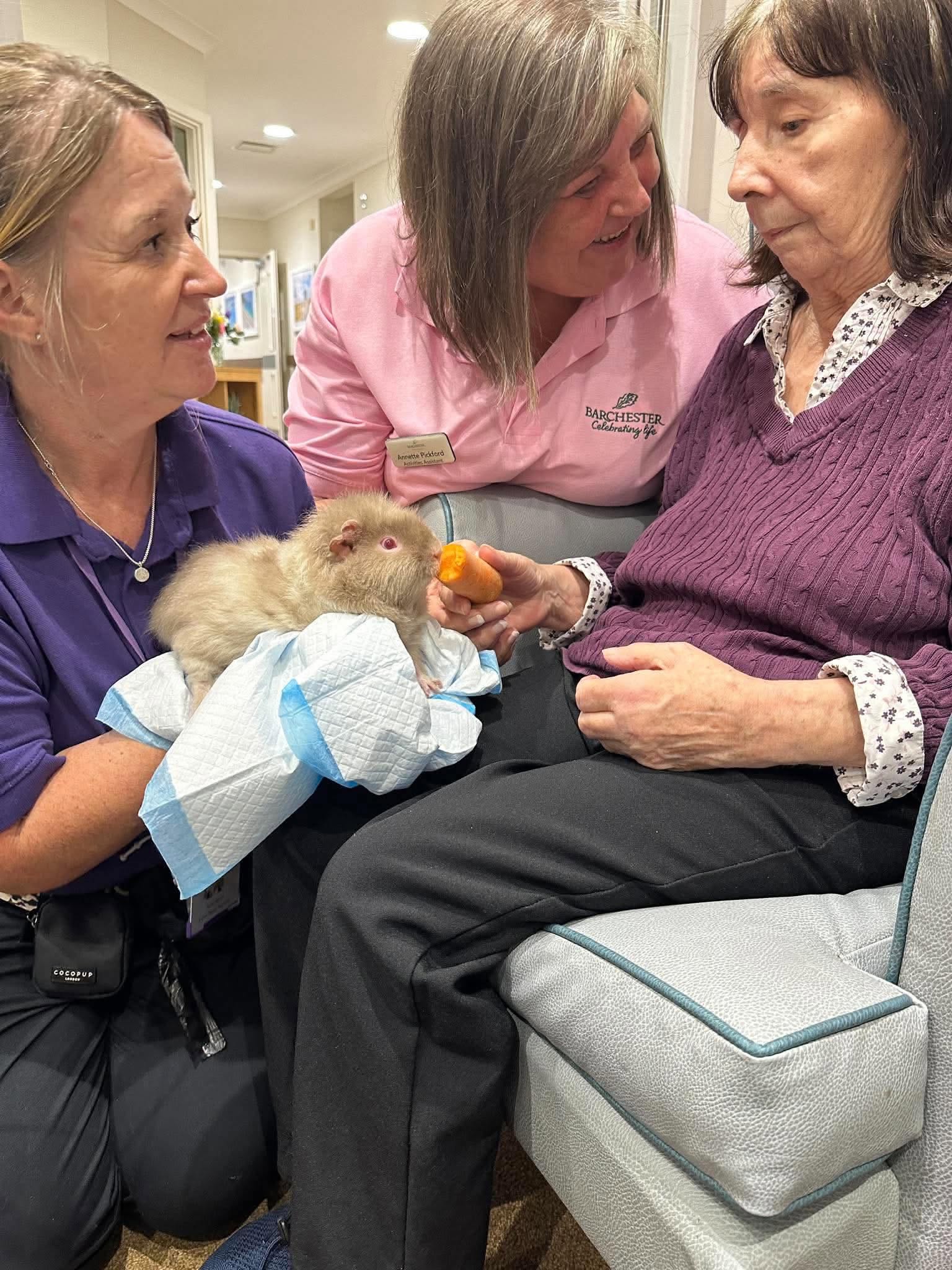 Animal therapy 