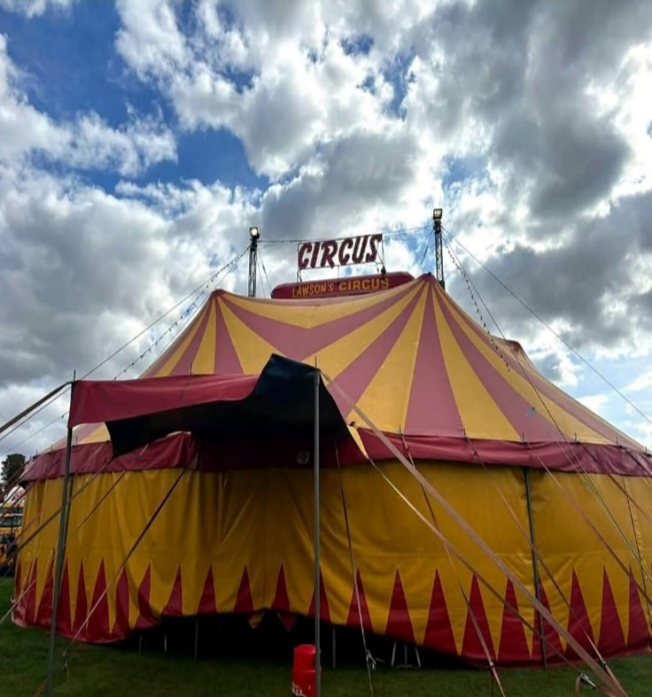 A trip to the circus 