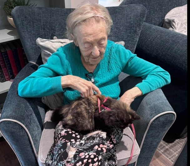 Pet Therapy with lots of Cuddles