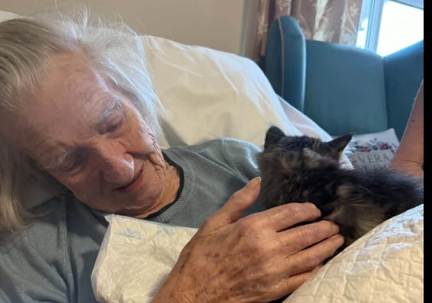 Pet Therapy with lots of Cuddles
