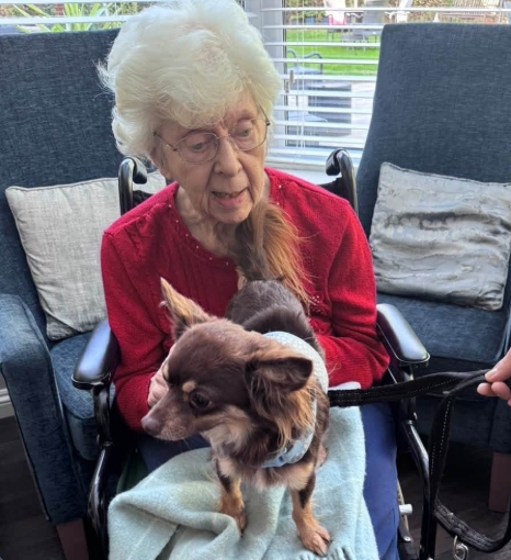 Pet Therapy with lots of Cuddles