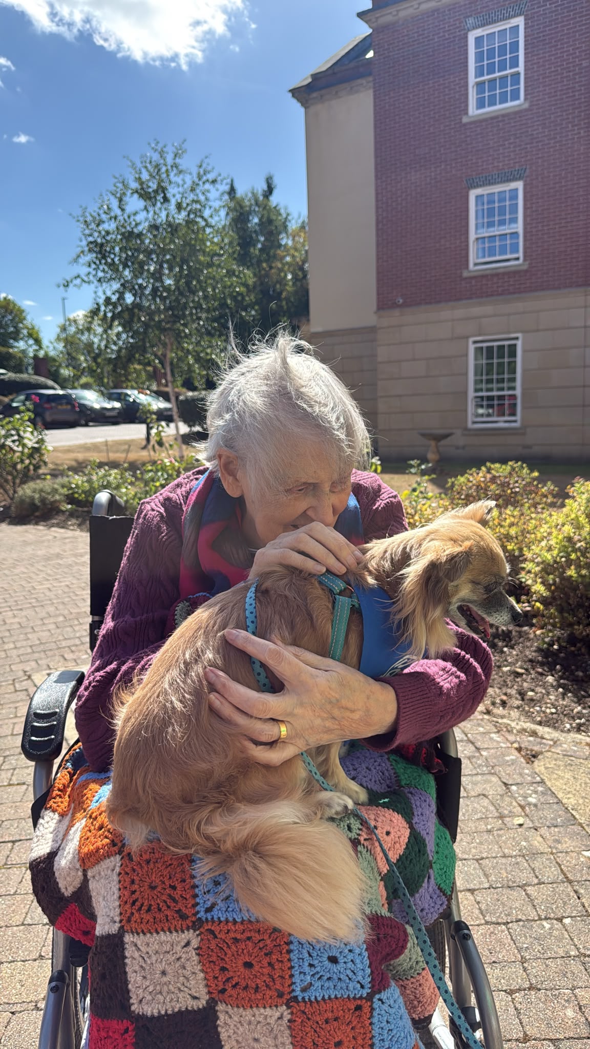 Therapy dog visit