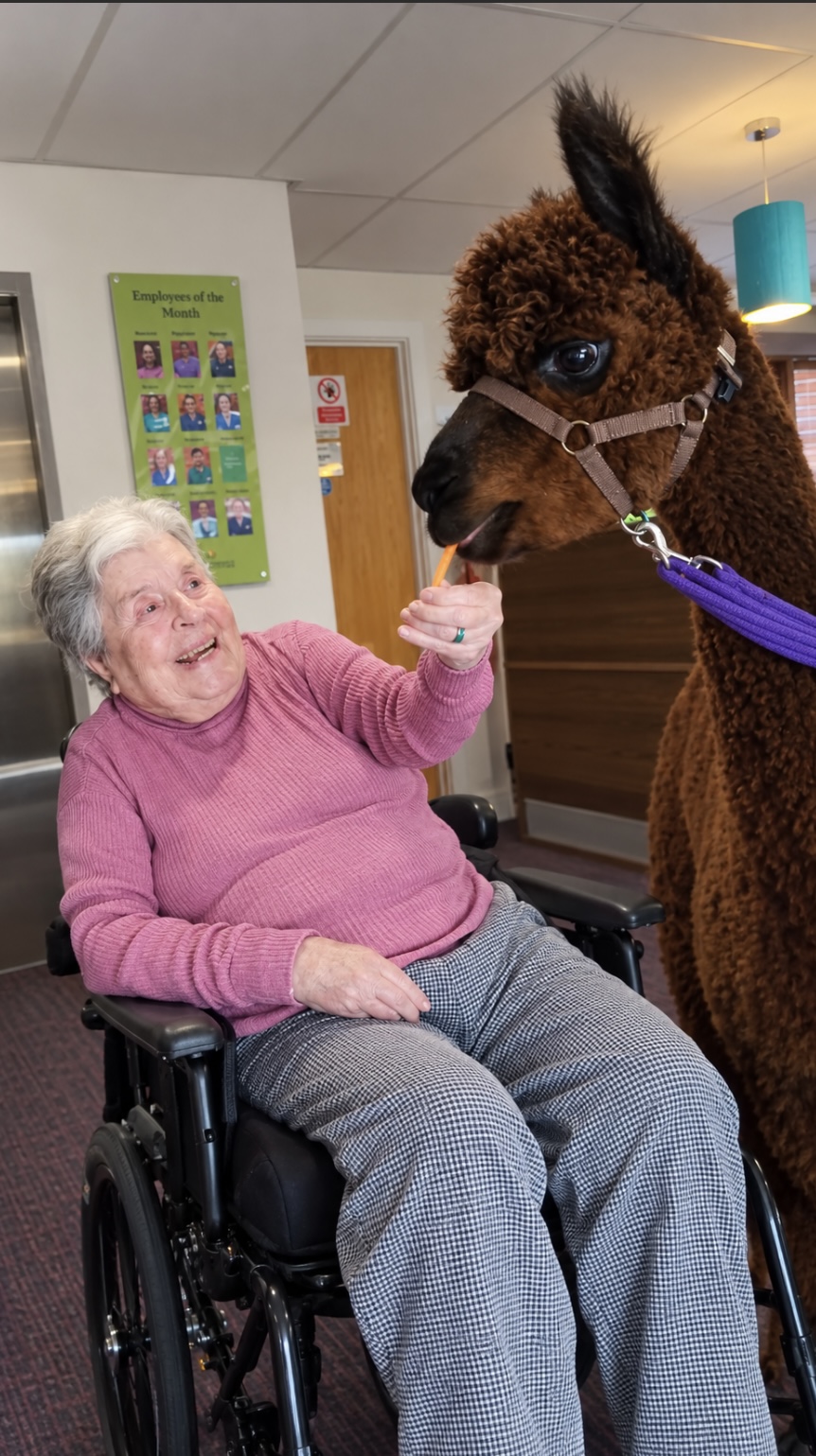 A WILDLY WONDERFUL ANIMAL DAY! 