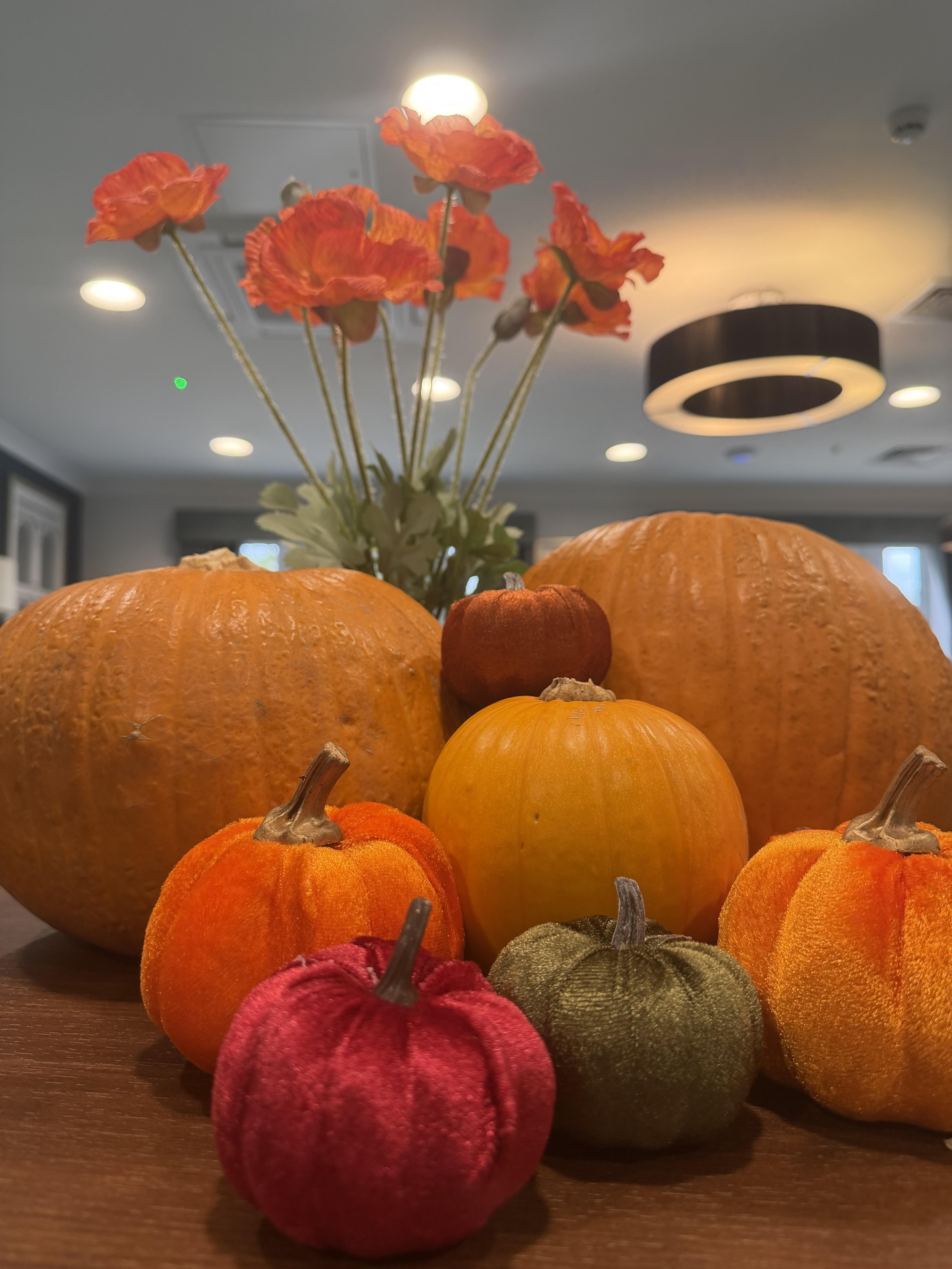 Autumn has officially arrived at Moors Manor