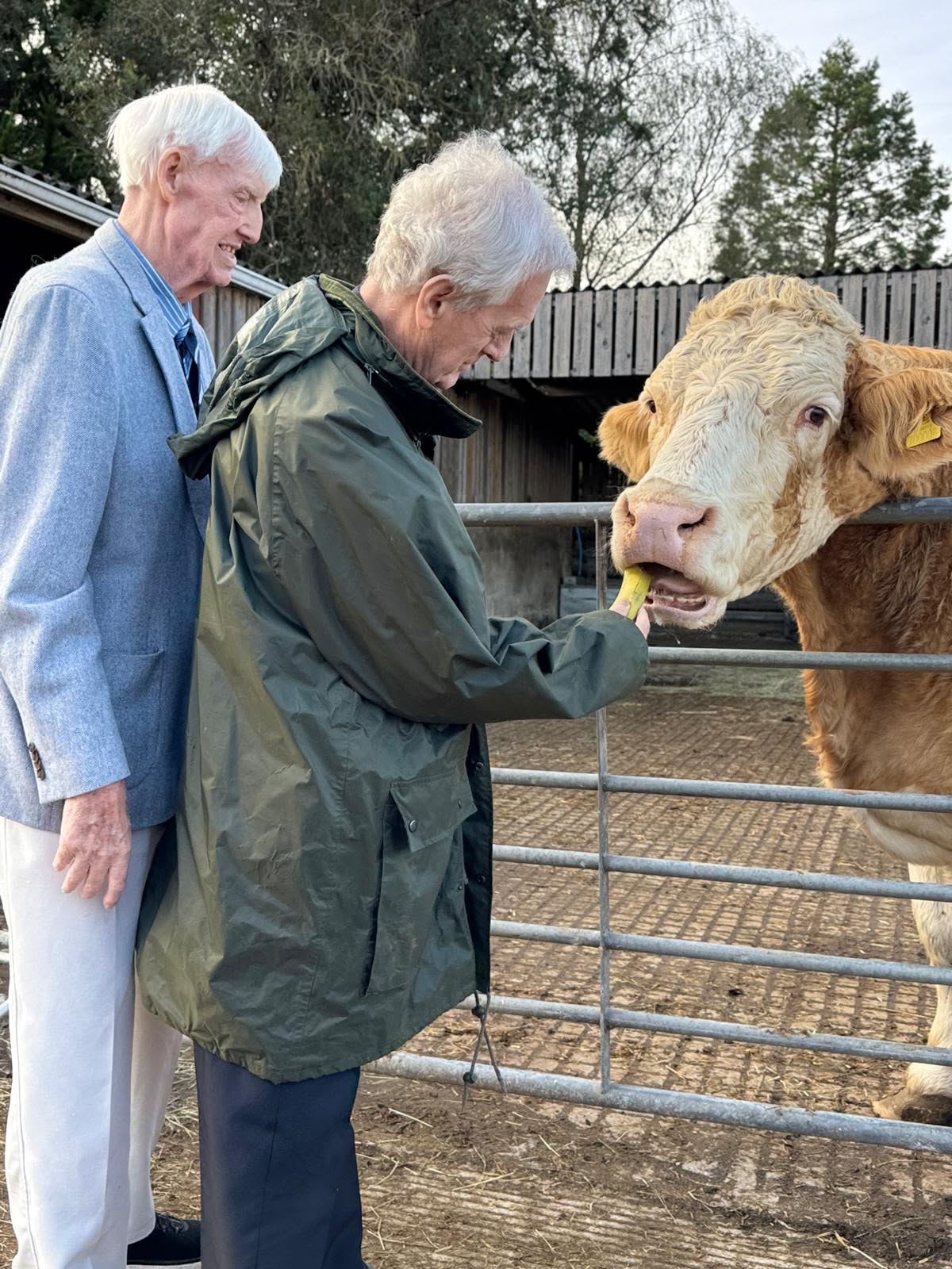 Back to the Farm