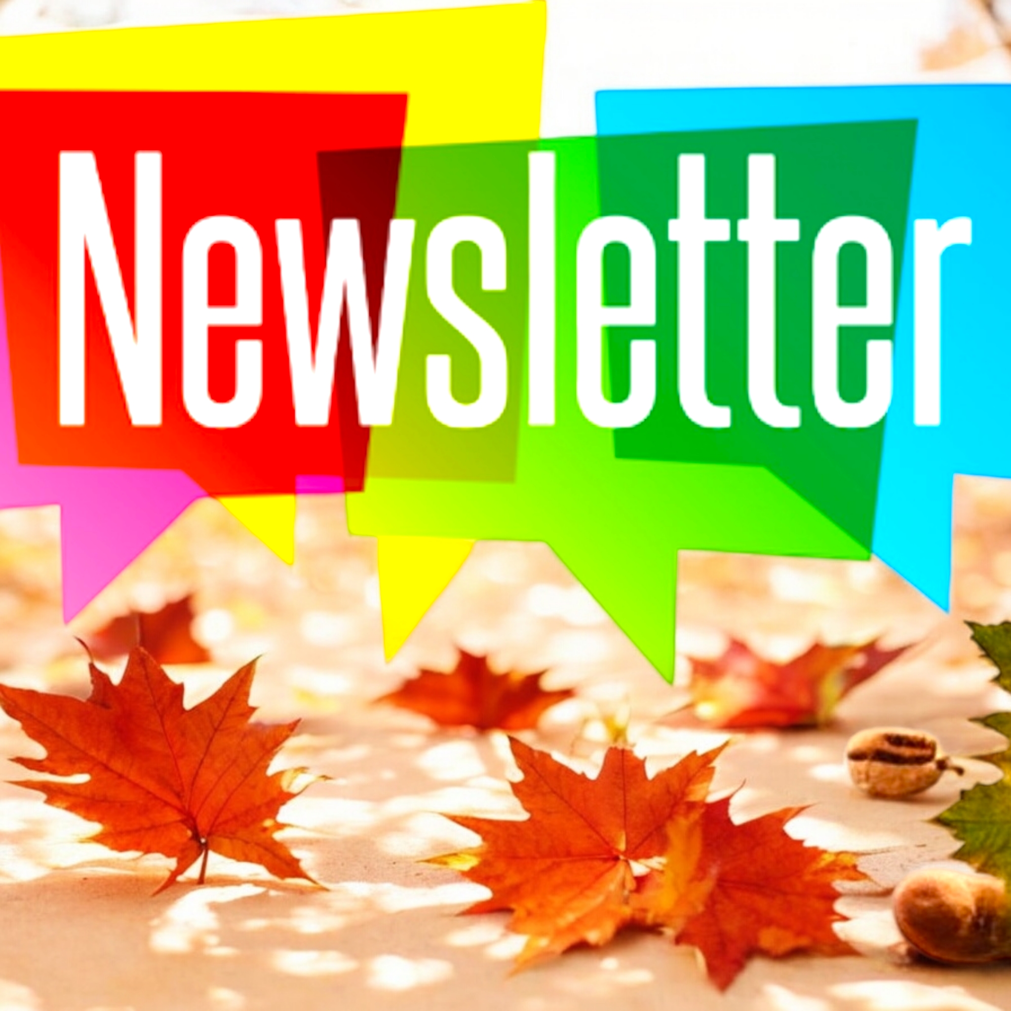 Autumn Newsletter