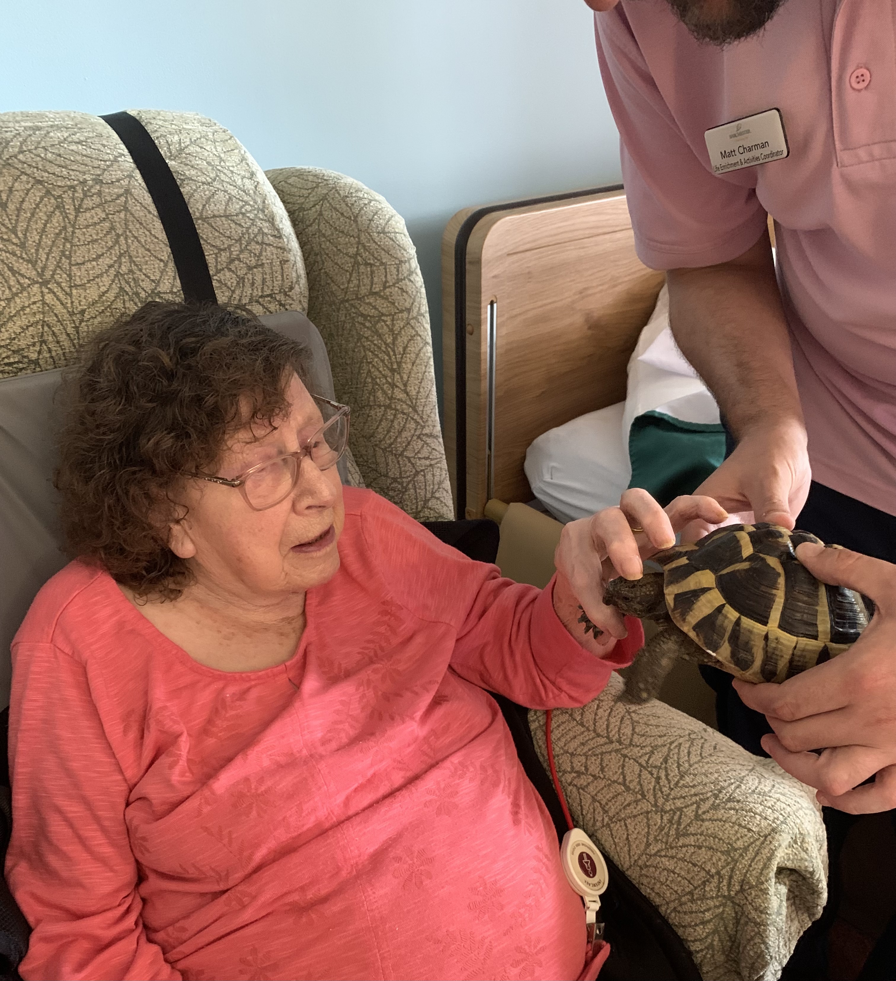Animal therapy