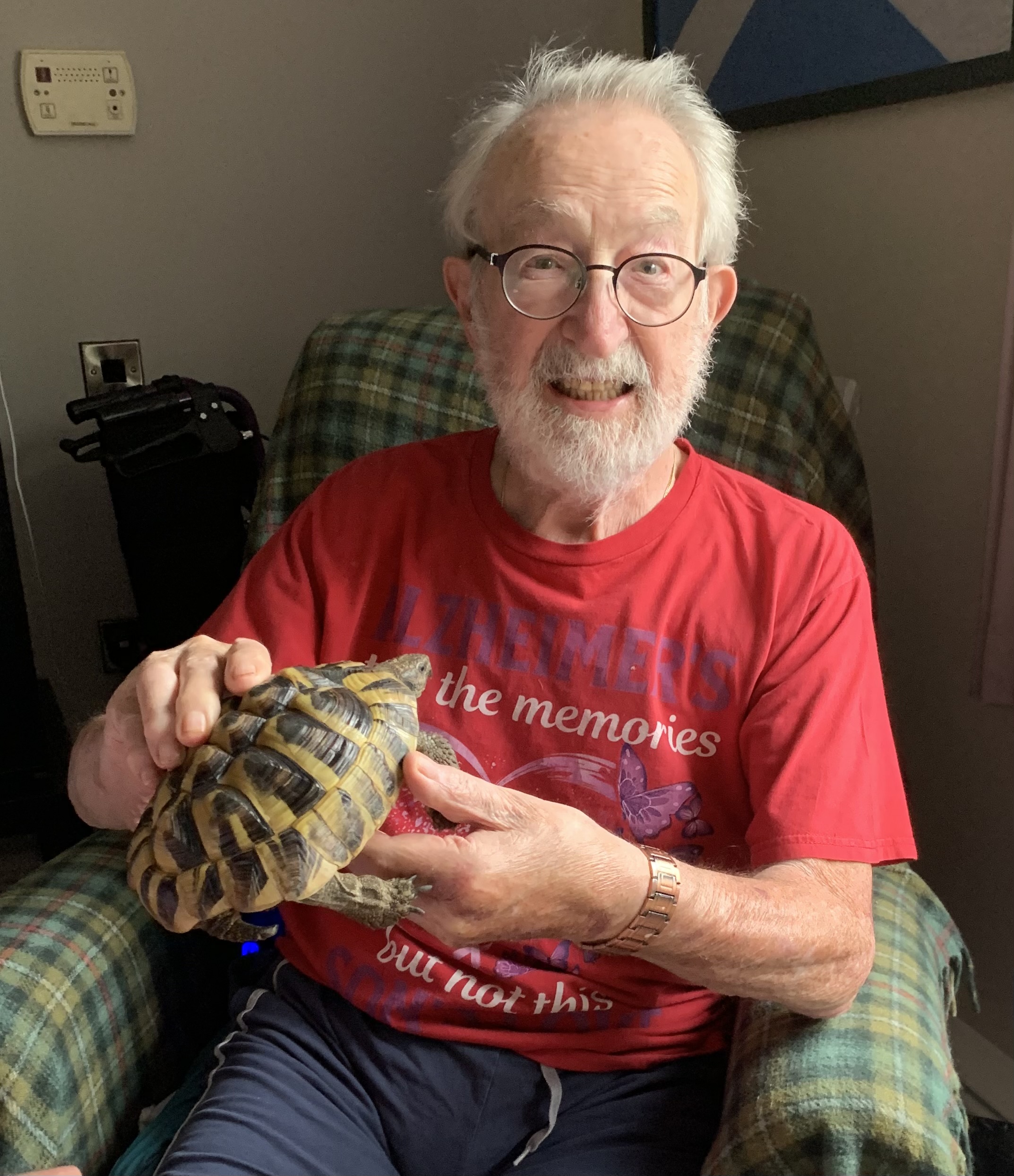 Animal therapy
