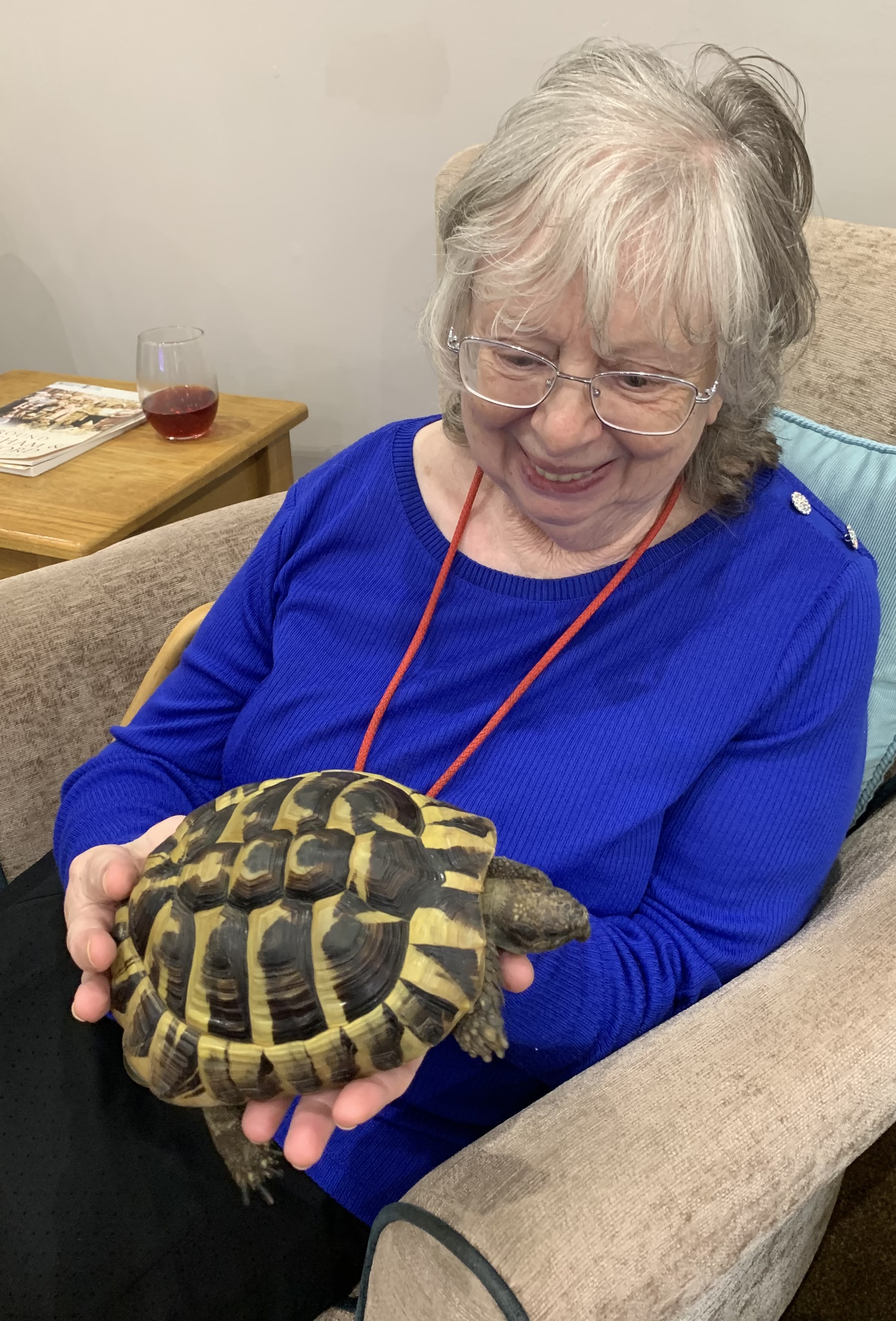 Animal therapy