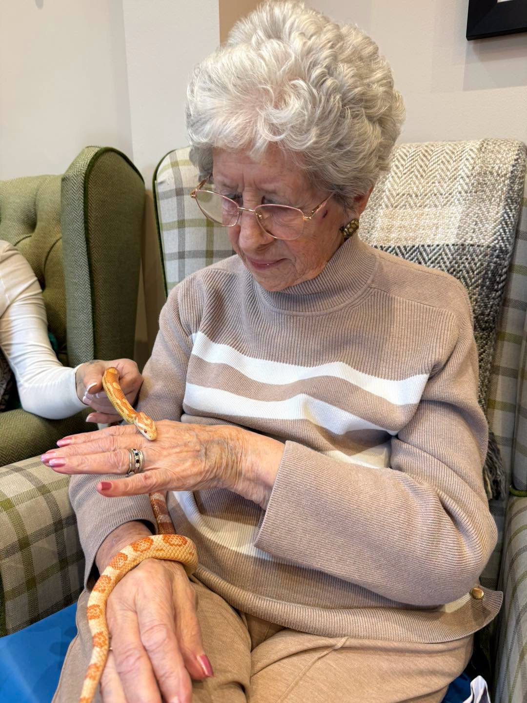 A Snakey Surprise at Hickathrift House