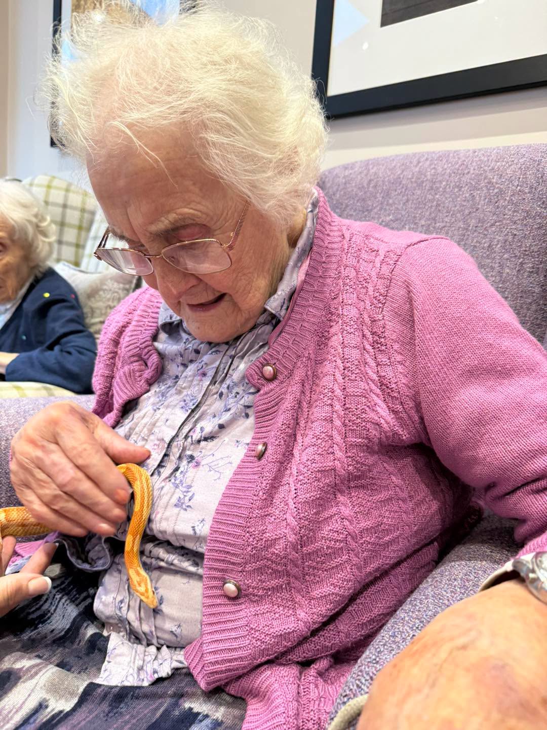 A Snakey Surprise at Hickathrift House