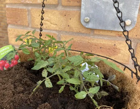 Gardening Club