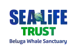 Sea Life Trust - Beluga Whale Sanctuary