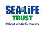Sea Life Trust - Beluga Whale Sanctuary