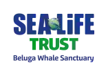Sea Life Trust - Beluga Whale Sanctuary