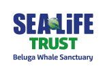 Sea Life Trust - Beluga Whale Sanctuary