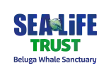 Sea Life Trust - Beluga Whale Sanctuary